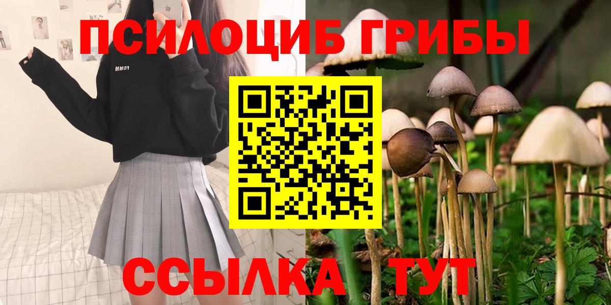 Псилоцибиновые грибы GOLDEN TEACHER Сокол