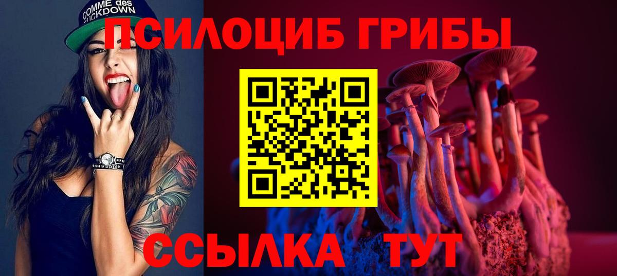 Галлюциногенные грибы Magic Shrooms  Вход с VPN  Псилоцибиновые грибы Cubensis  Сокол 